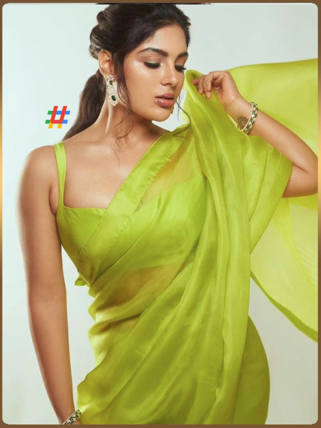 Samyuktha (3)
