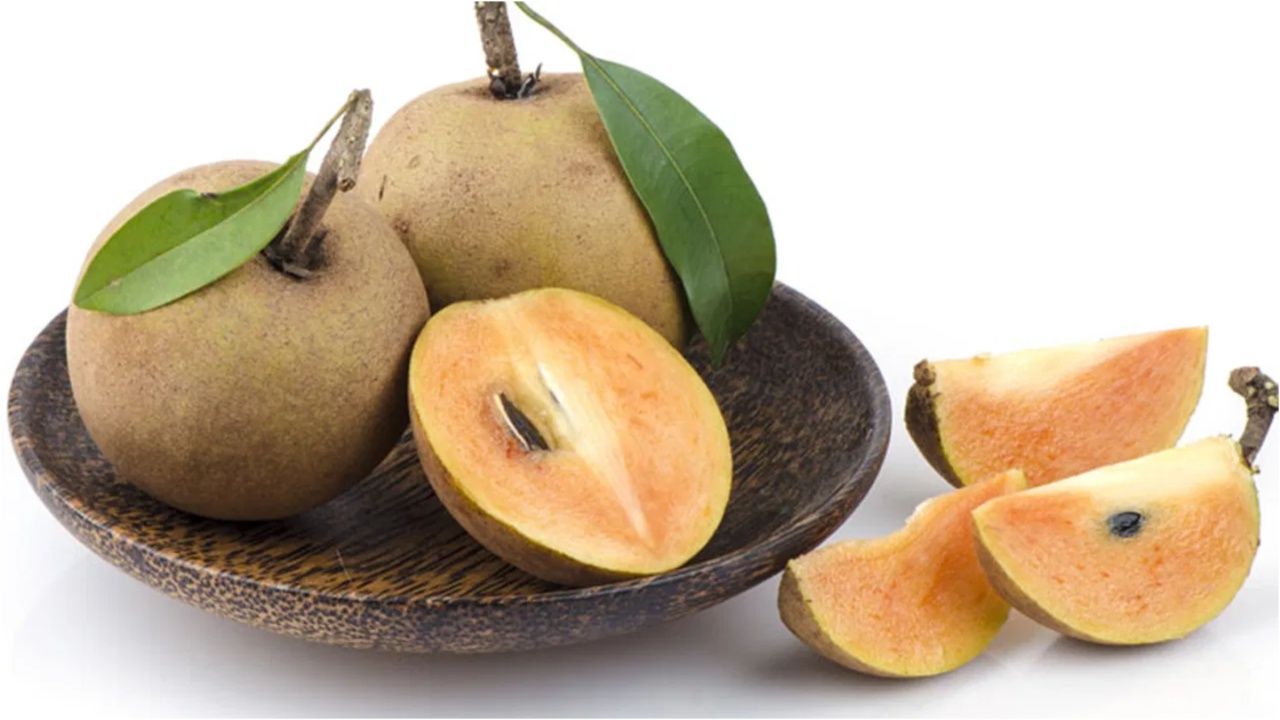 Sapota