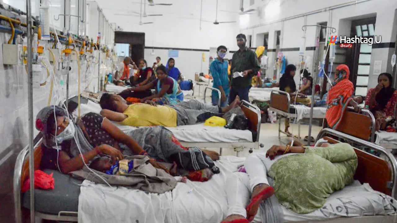 Cm Revanth Dengue Fever Tel