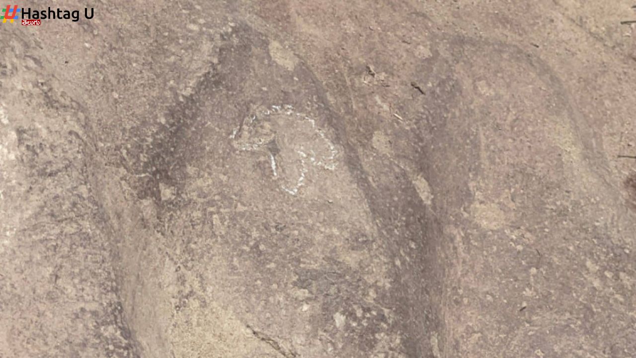 Cretaceous Dinosaur Footprints