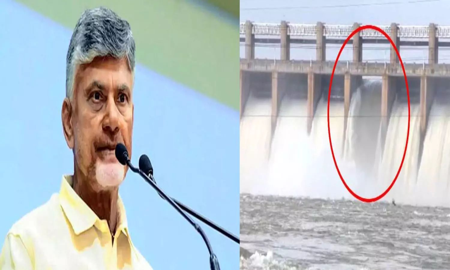 AP CM Chandrababu
