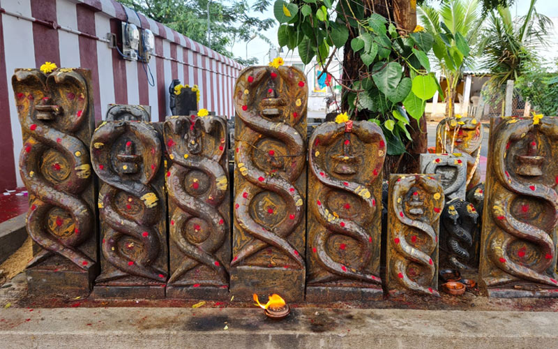 Kala Sarpa Dosham