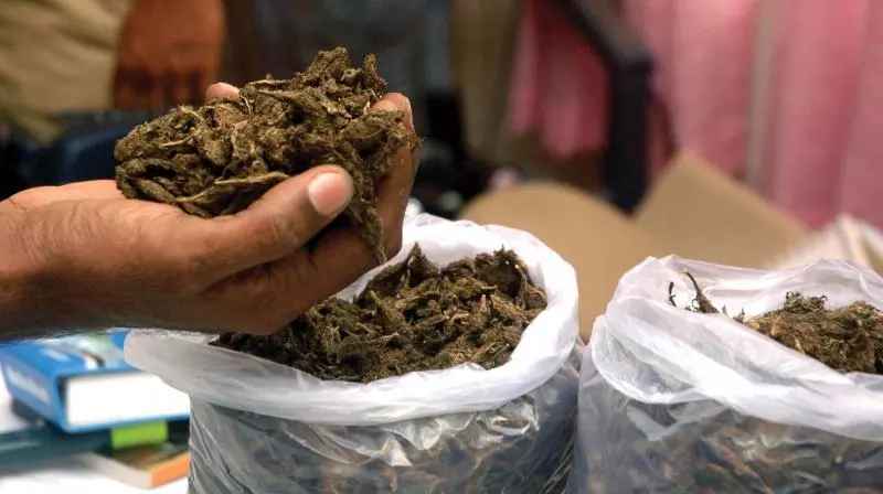 Ganja to Delhi