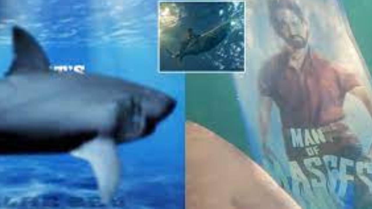 Devara Fans Crazy Pramotions With Real Shark