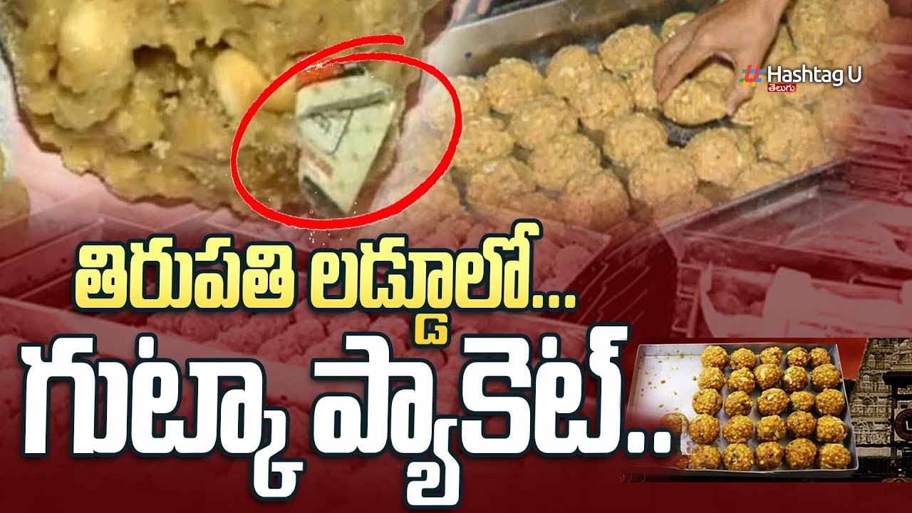 Gutka Packet In Tirupati La