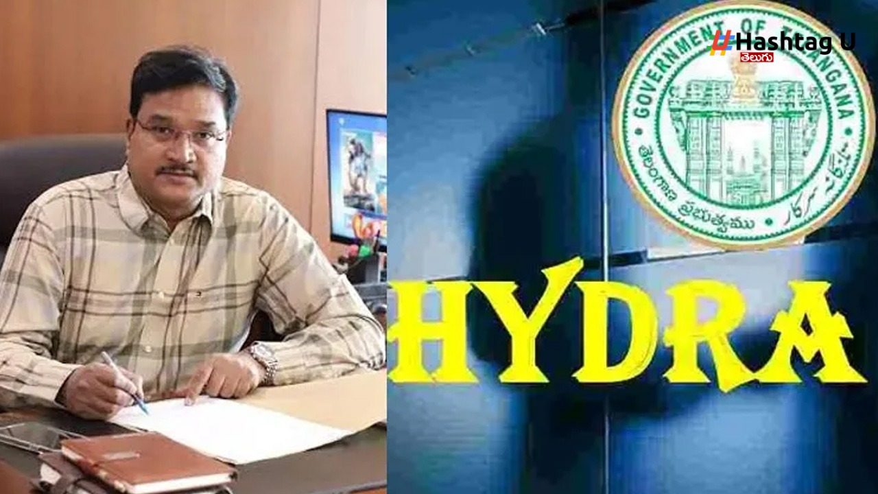 Hydra (1)