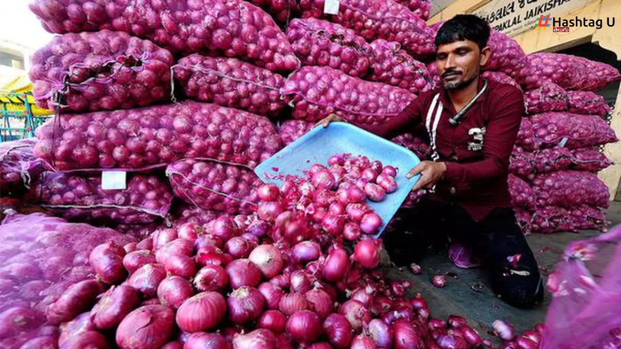 Onion Prices Buffer Stock Central Govt