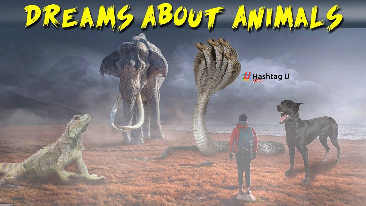 Seeing Animals In Dream Animals