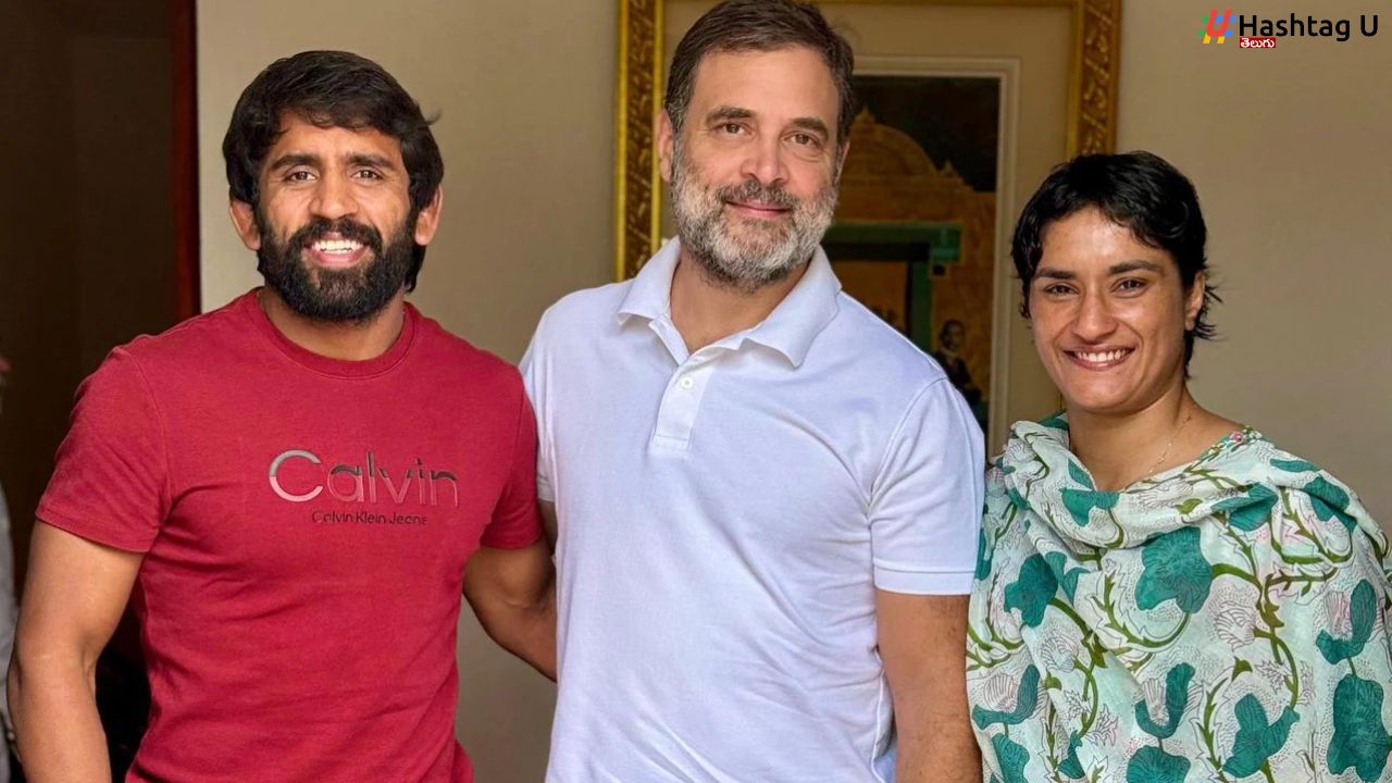 Vinesh Phogat Bajrang Punia Haryana Polls
