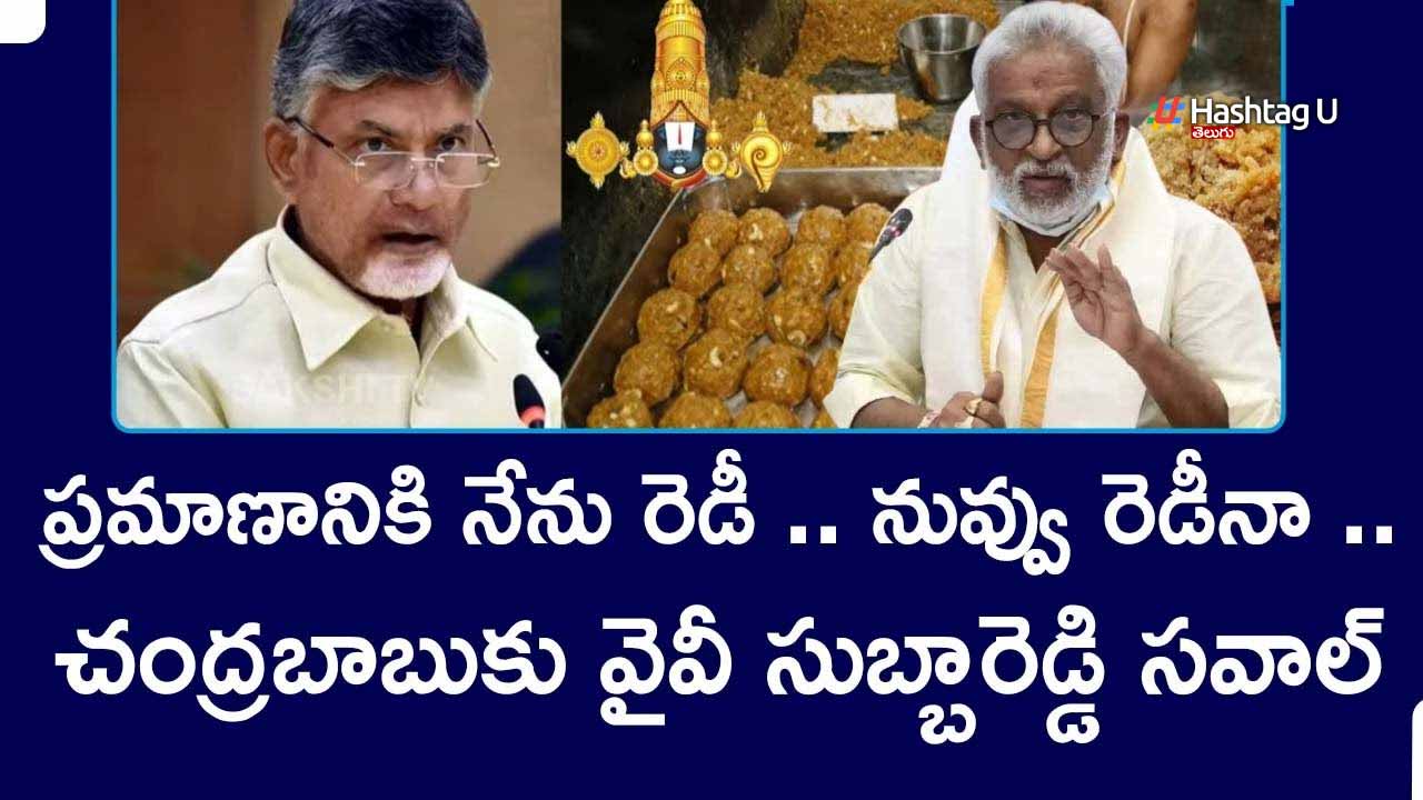 Yv Subbareddy Challenge To 