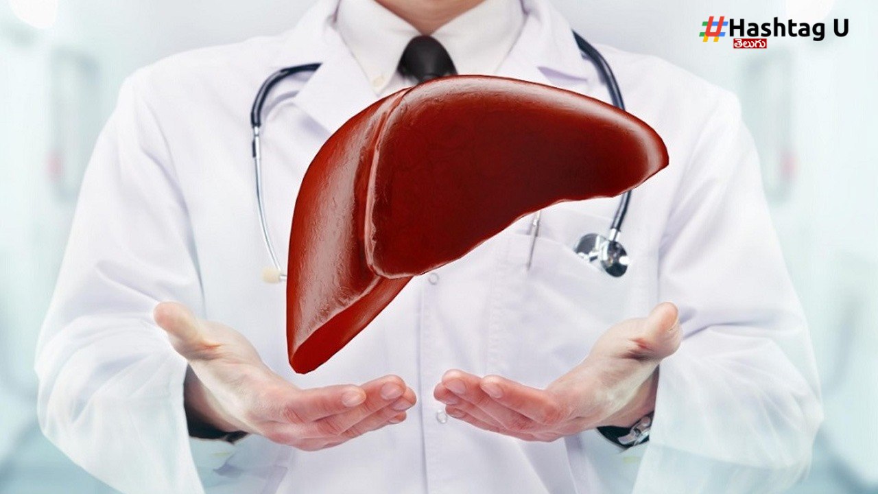 Liver Tips