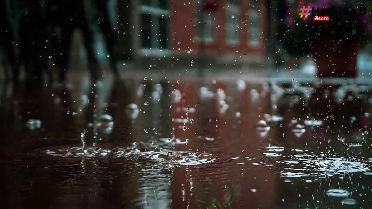Rain (1)