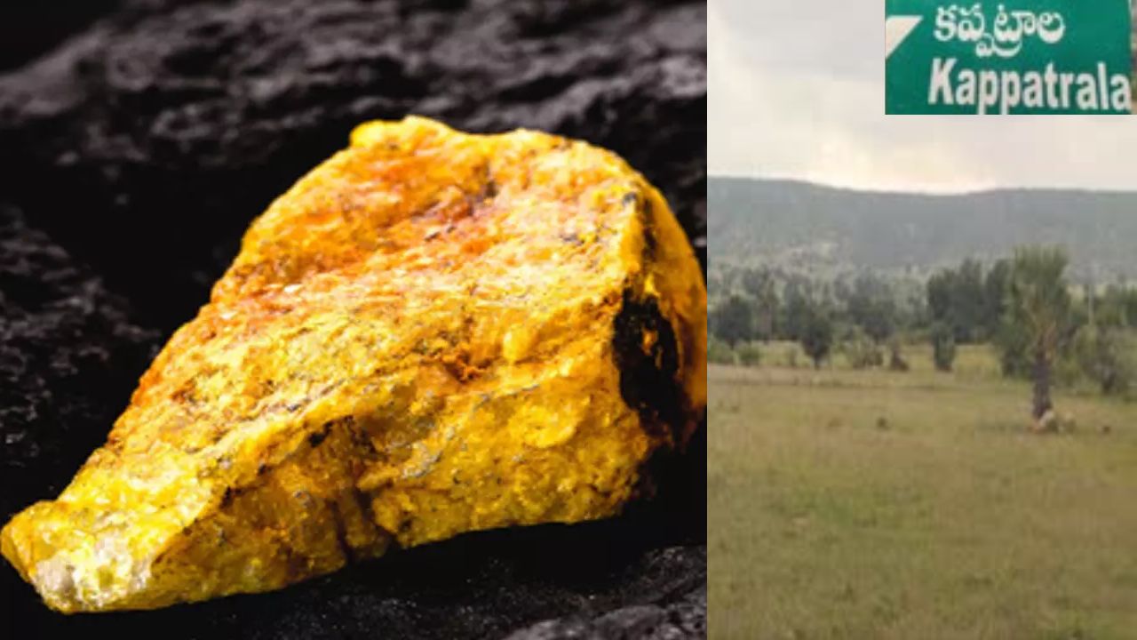 Ap Kappatralla forest Uranium Deposits