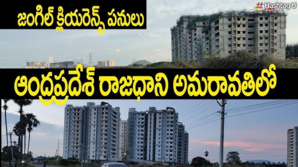 Amaravati Jungle Clearance