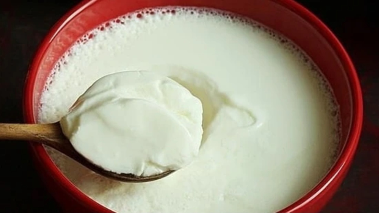 Curd