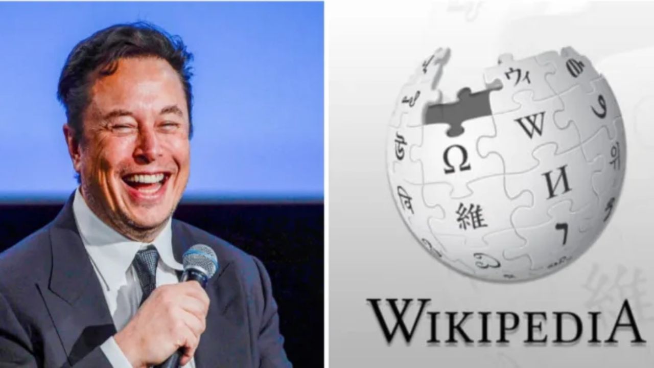 Elon Musk Wikipedia Donations