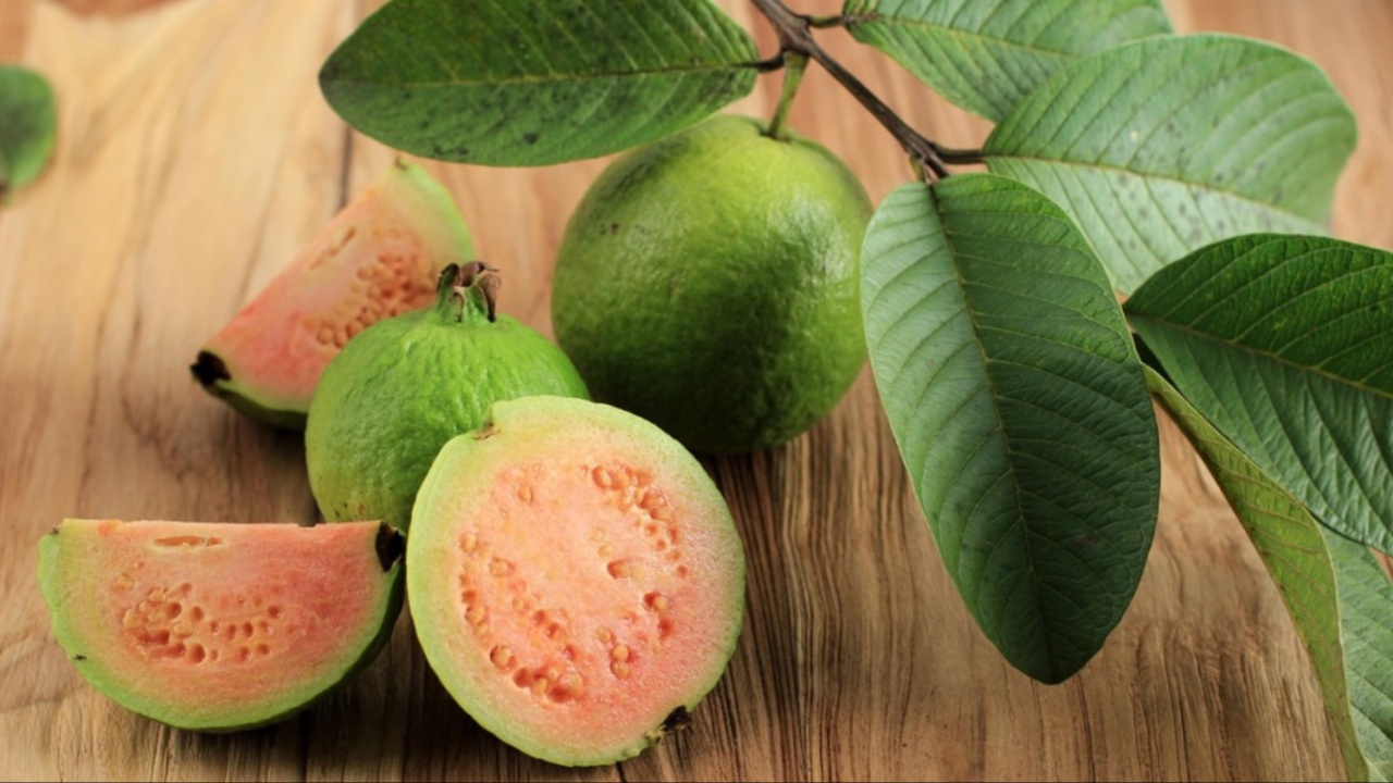 Guava Leaves