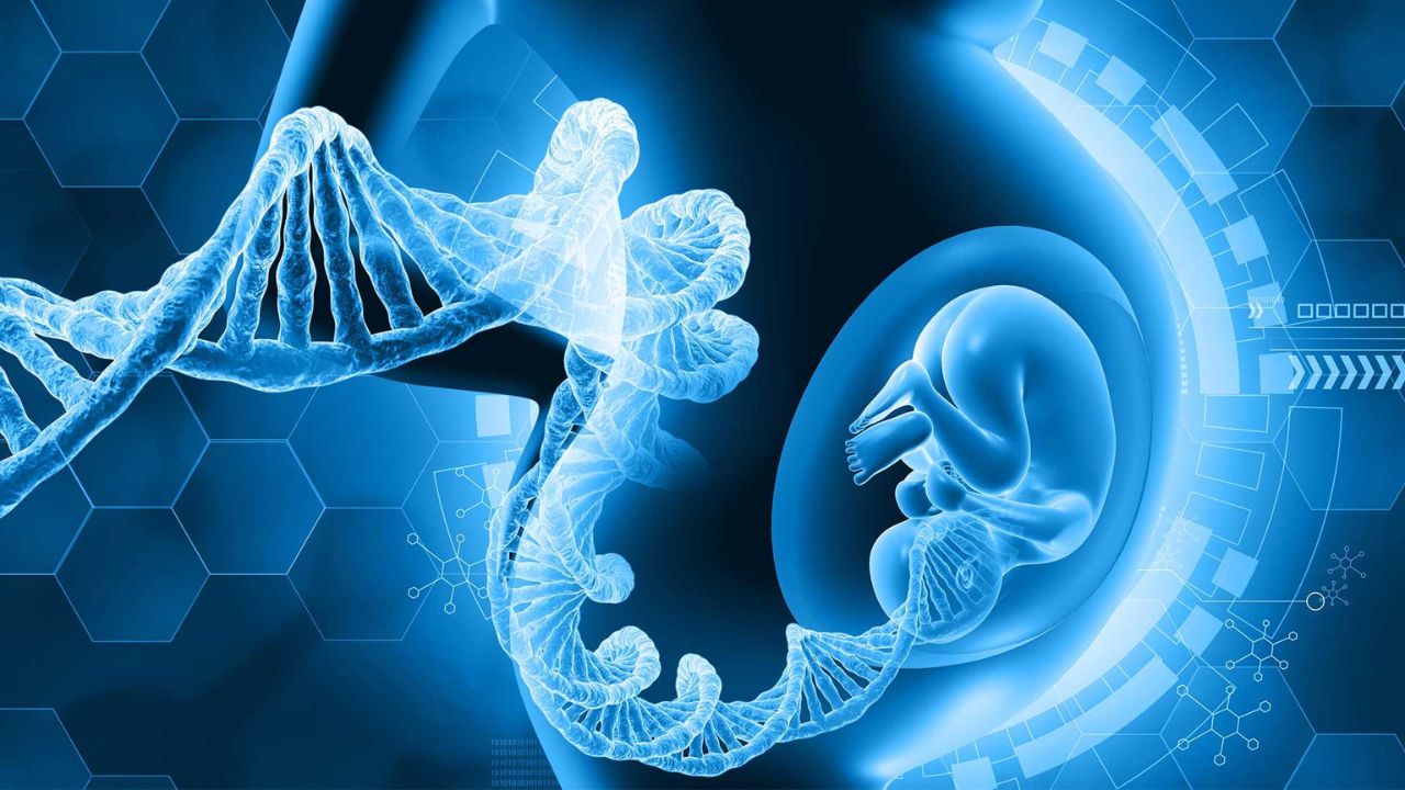 Iq Vs Embryos Super Humans Us Startup