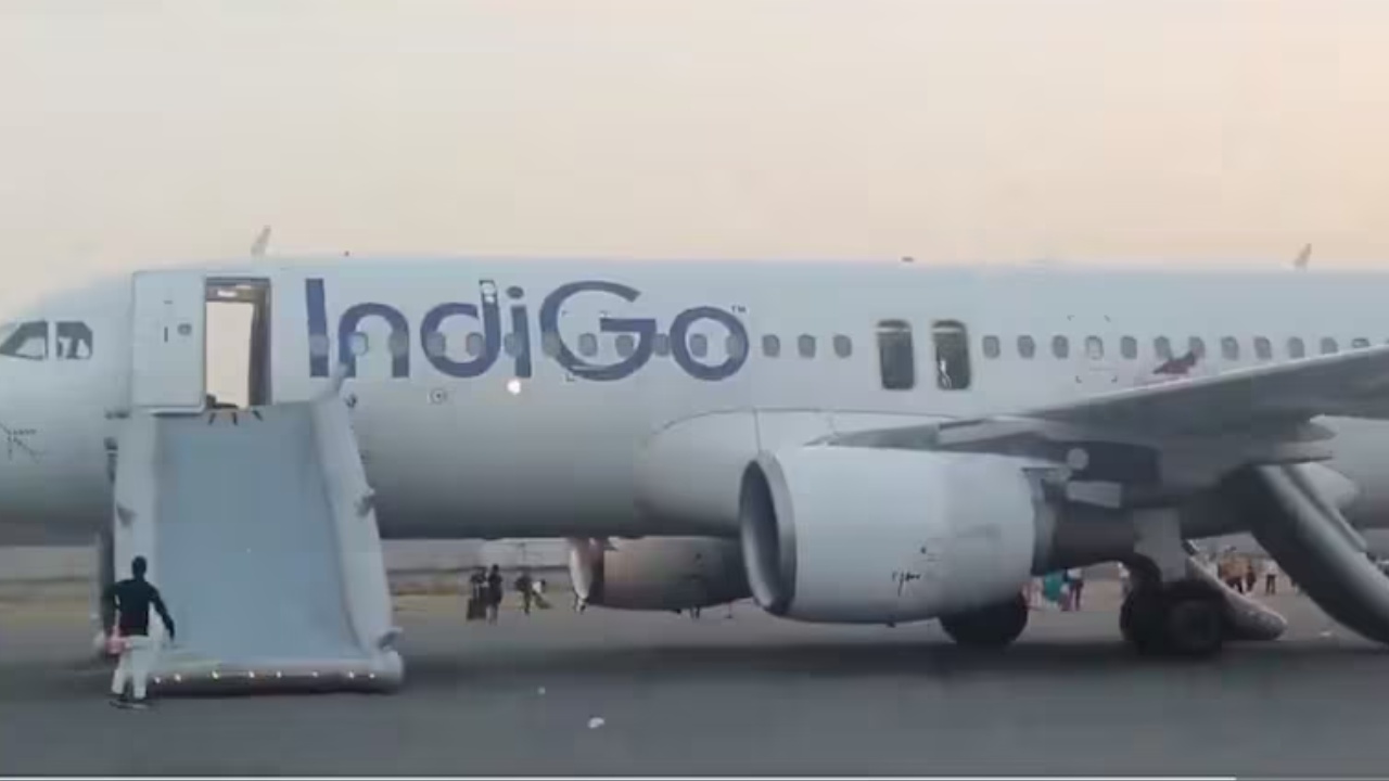 Indigo