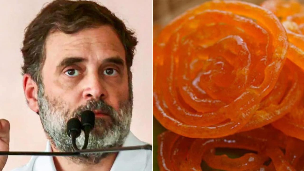 Rahul Gandhi Jalebi Factor Haryana Polls