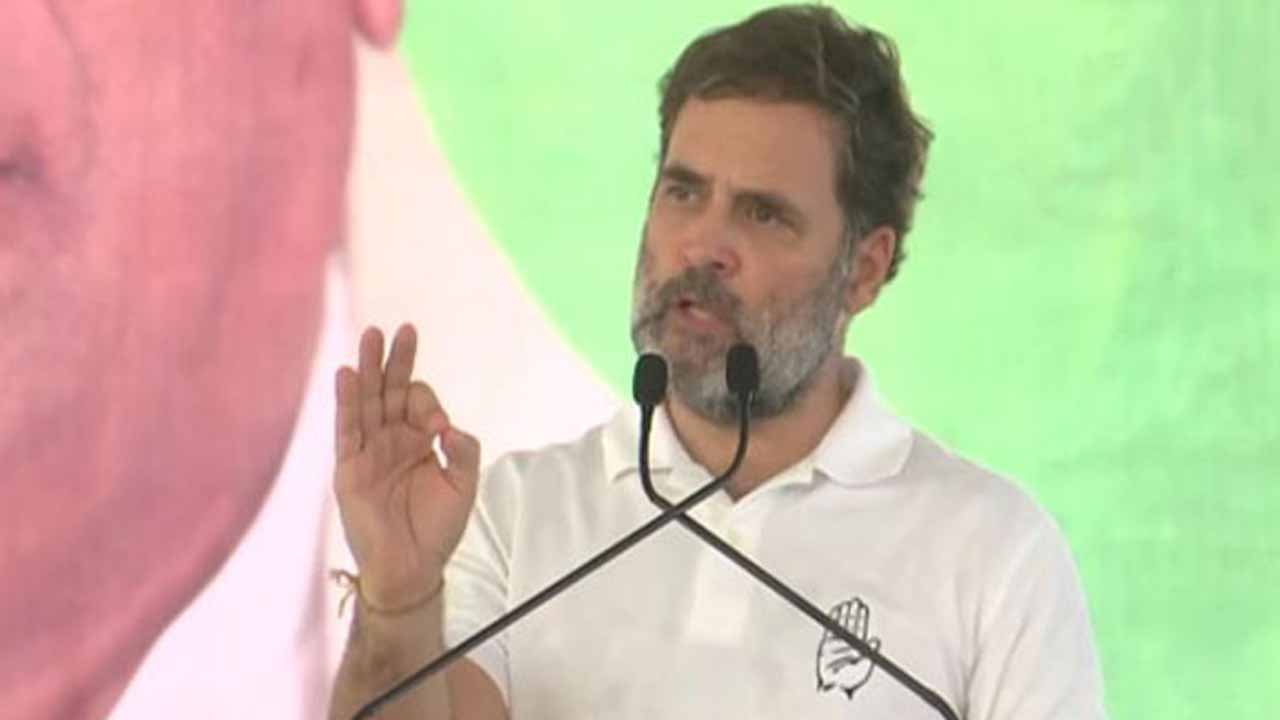 Rahul Gandhi participated in Haryana assembly election campaign