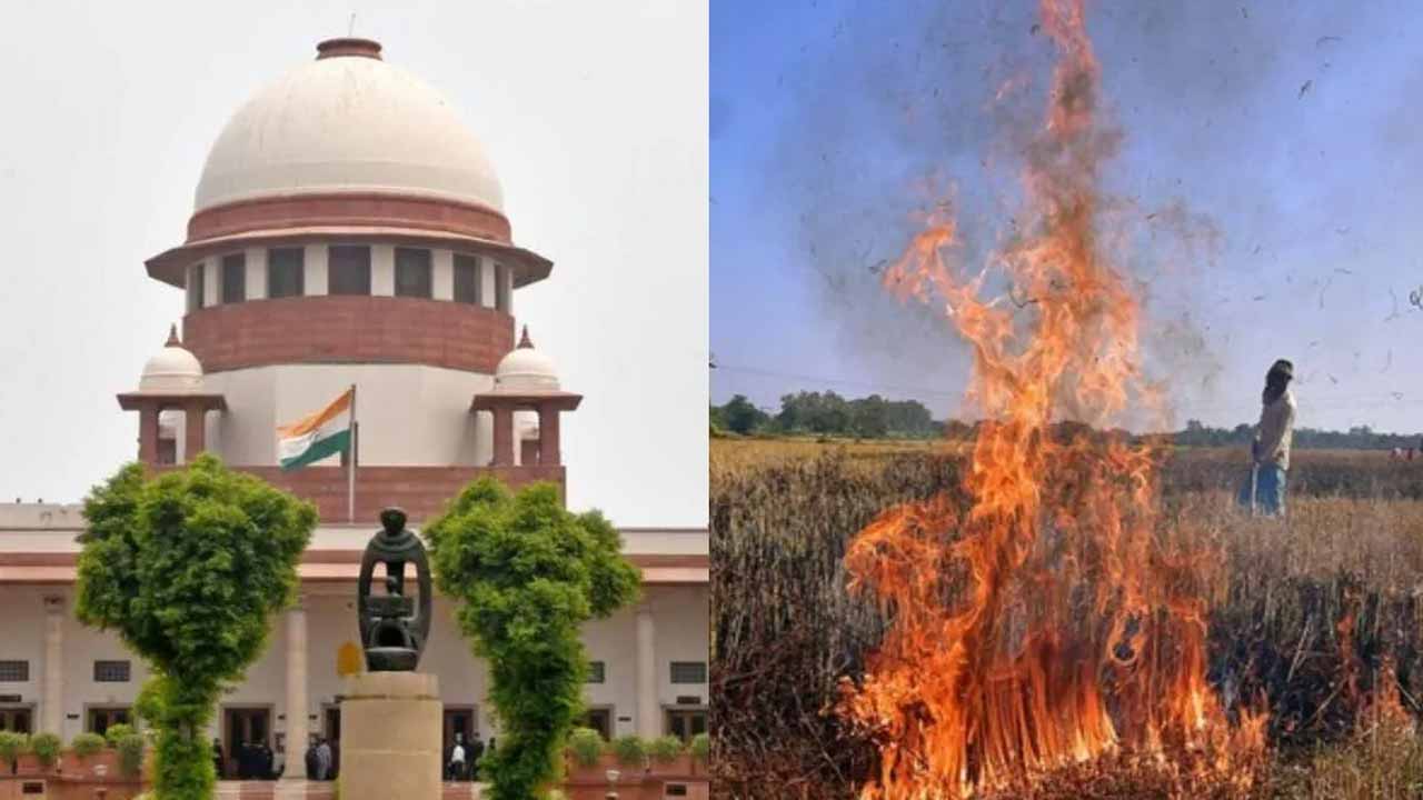 Supreme court raps punjab haryana govts over non compliance in stubble burning