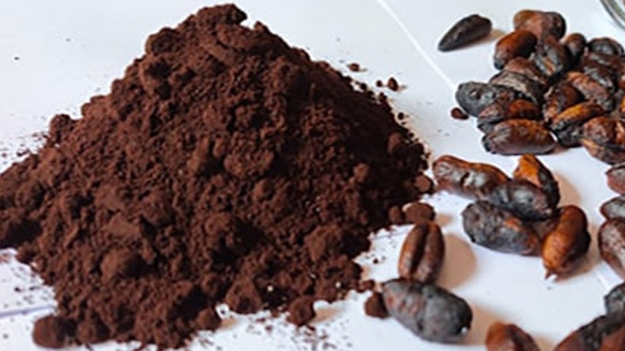 Date Seed Coffee