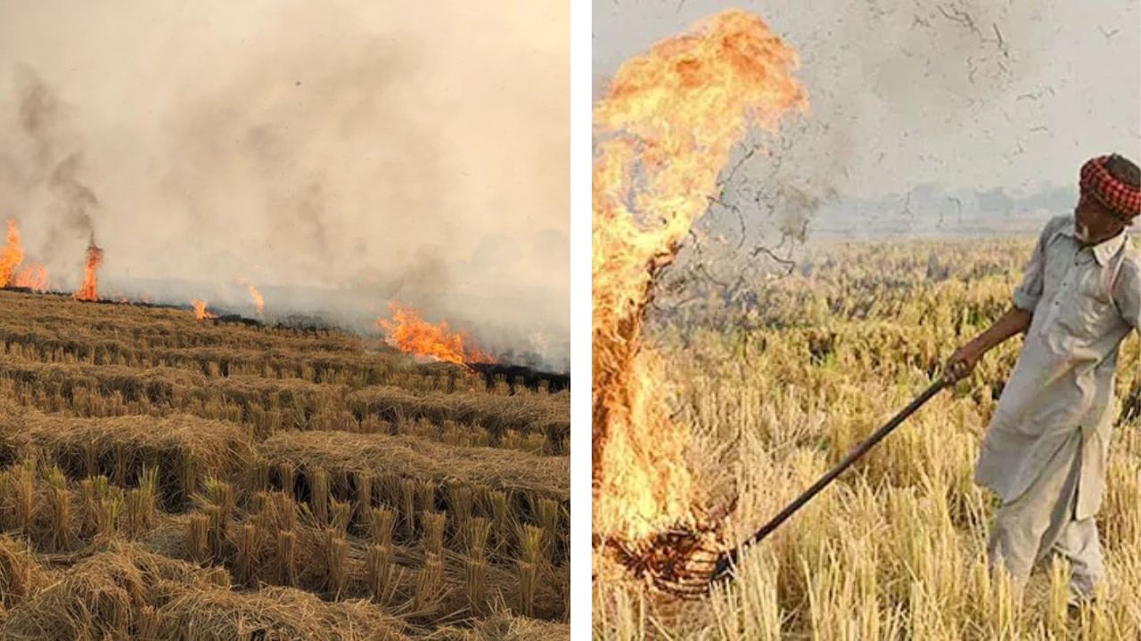 Delhi Stubble Burning Penalty For Farmers Rs 30000
