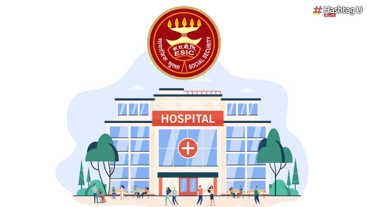 Esic Hospital In Ap
