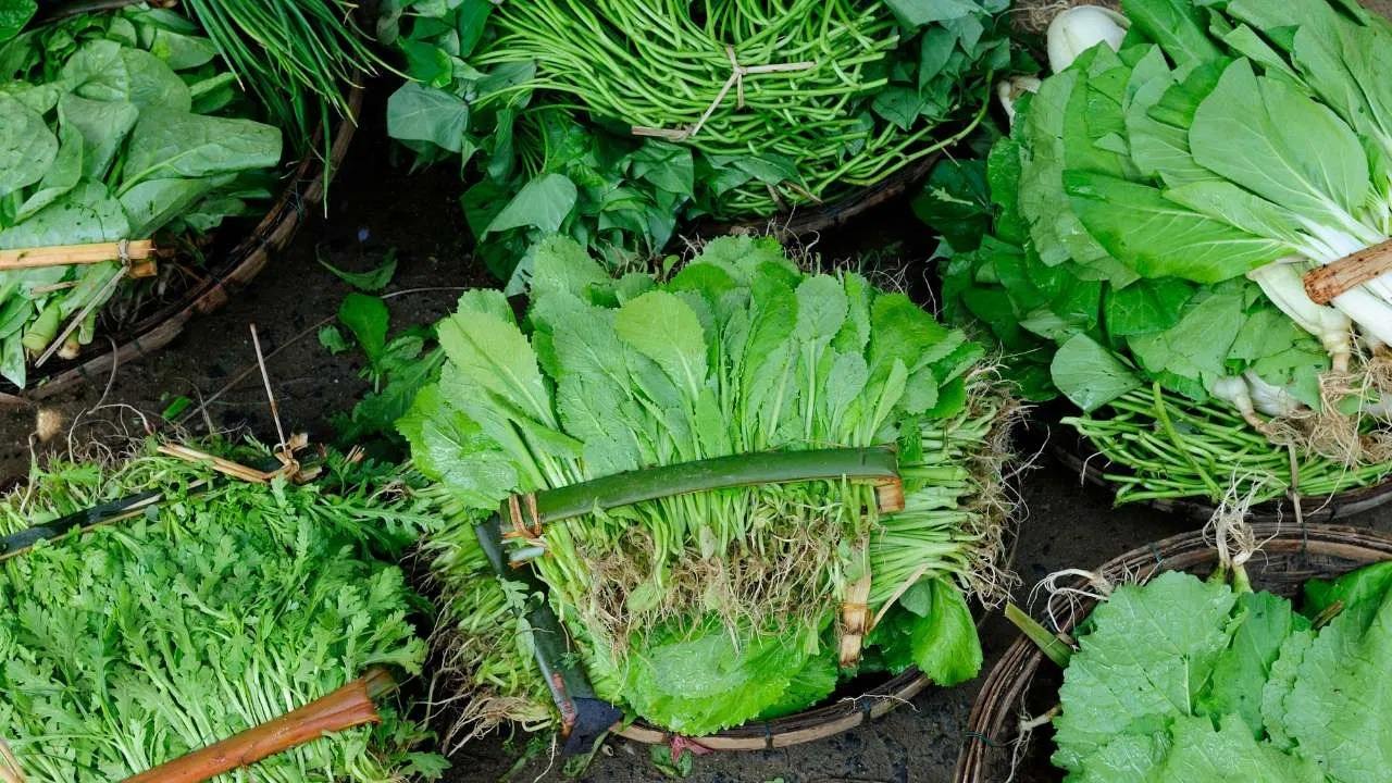 Green Leafy Vegetables