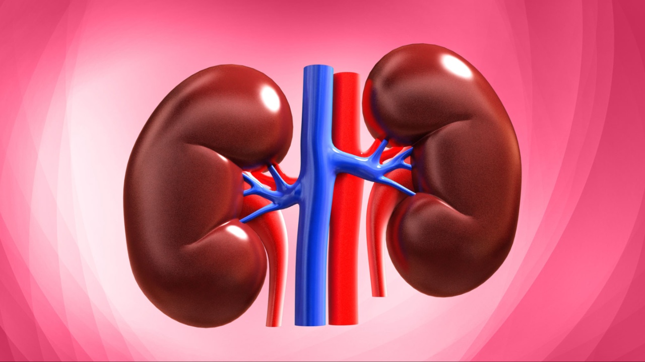 Kidney Problem