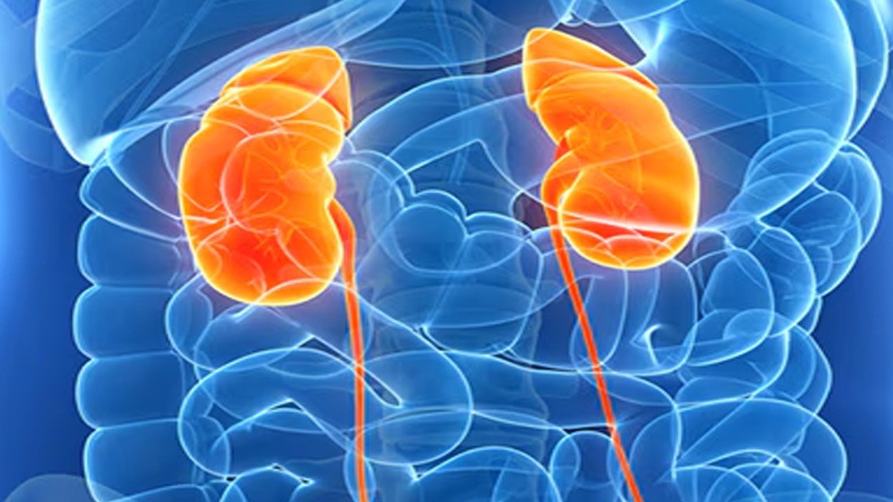 Kidney Health