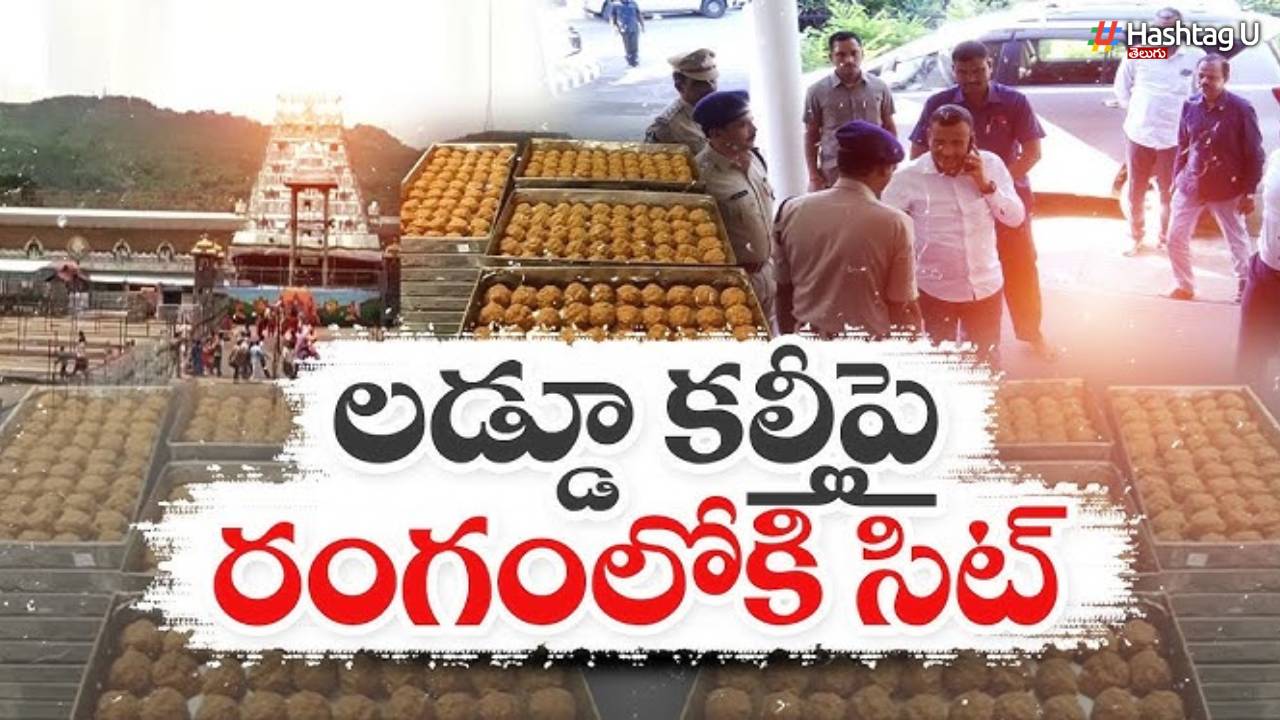 Sit Investigation Starts On Tirumala Laddu Controversy
