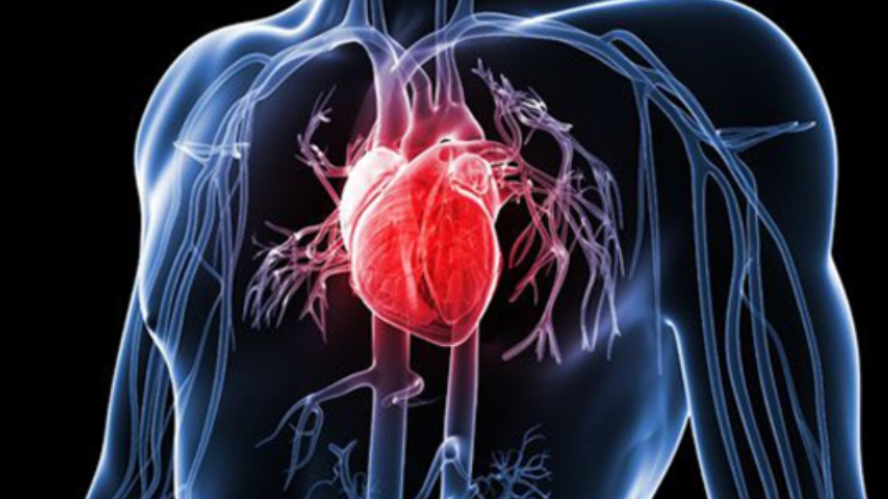 Heart Disease