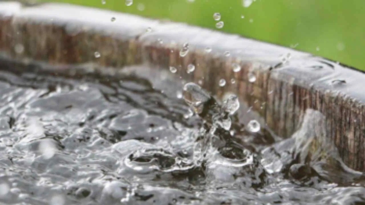 Swathi Rain