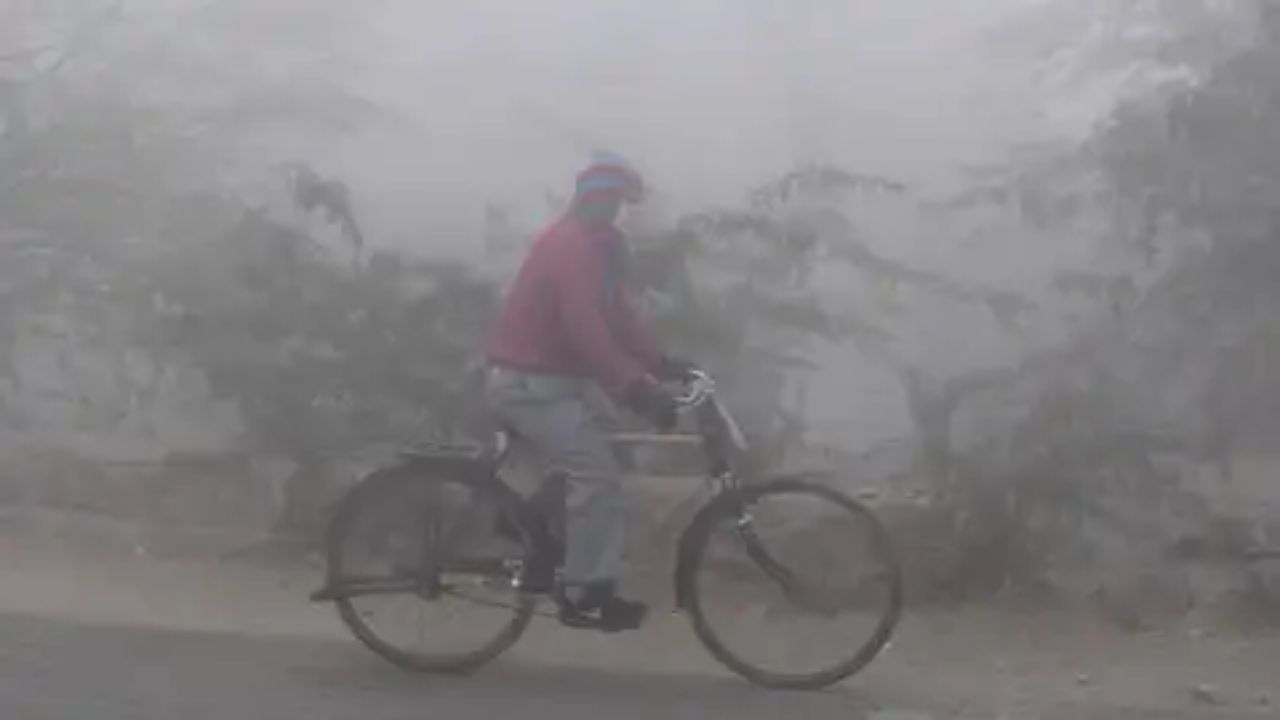 Weather