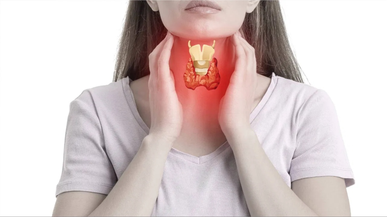 Thyroid