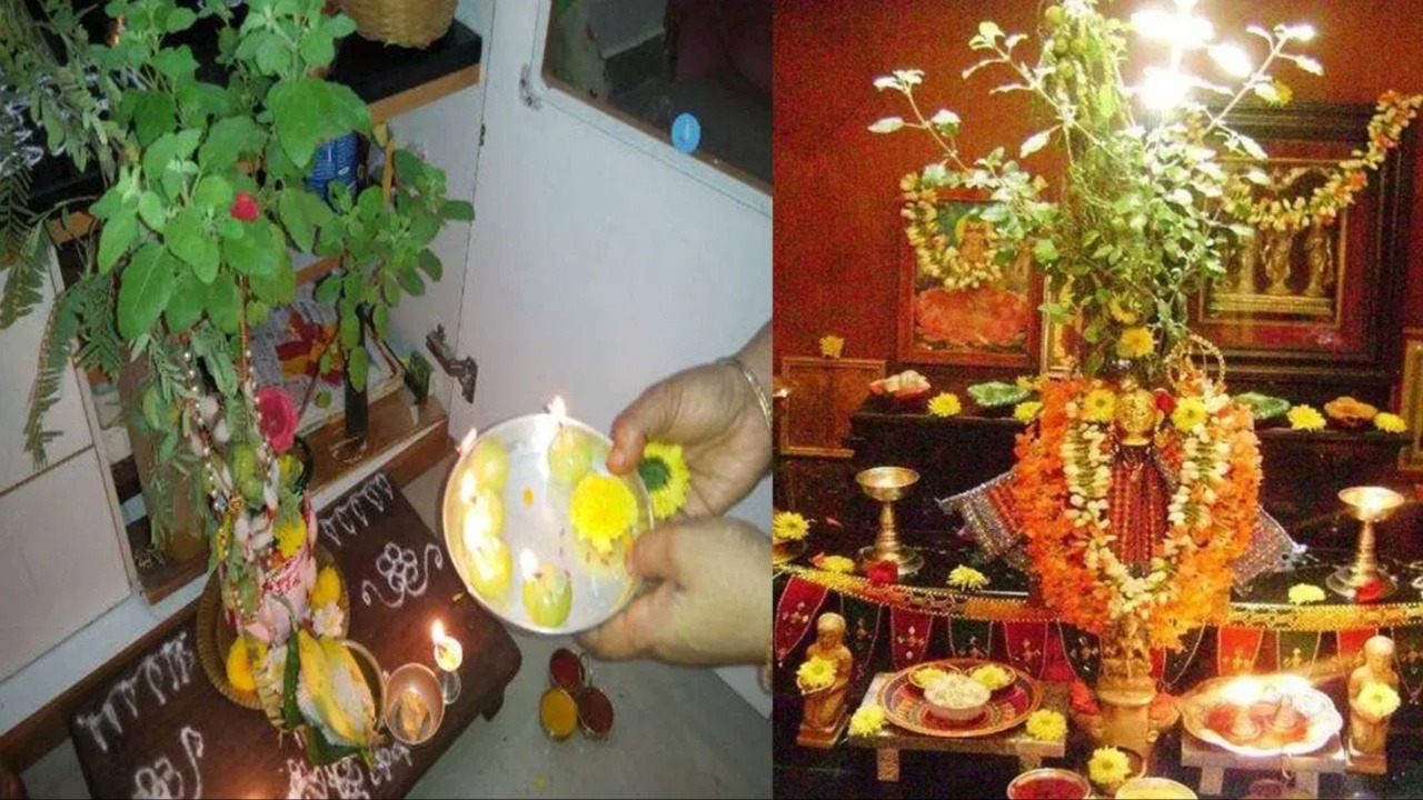 Tulsi