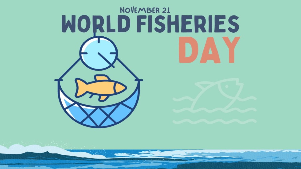 World Fisheries Day