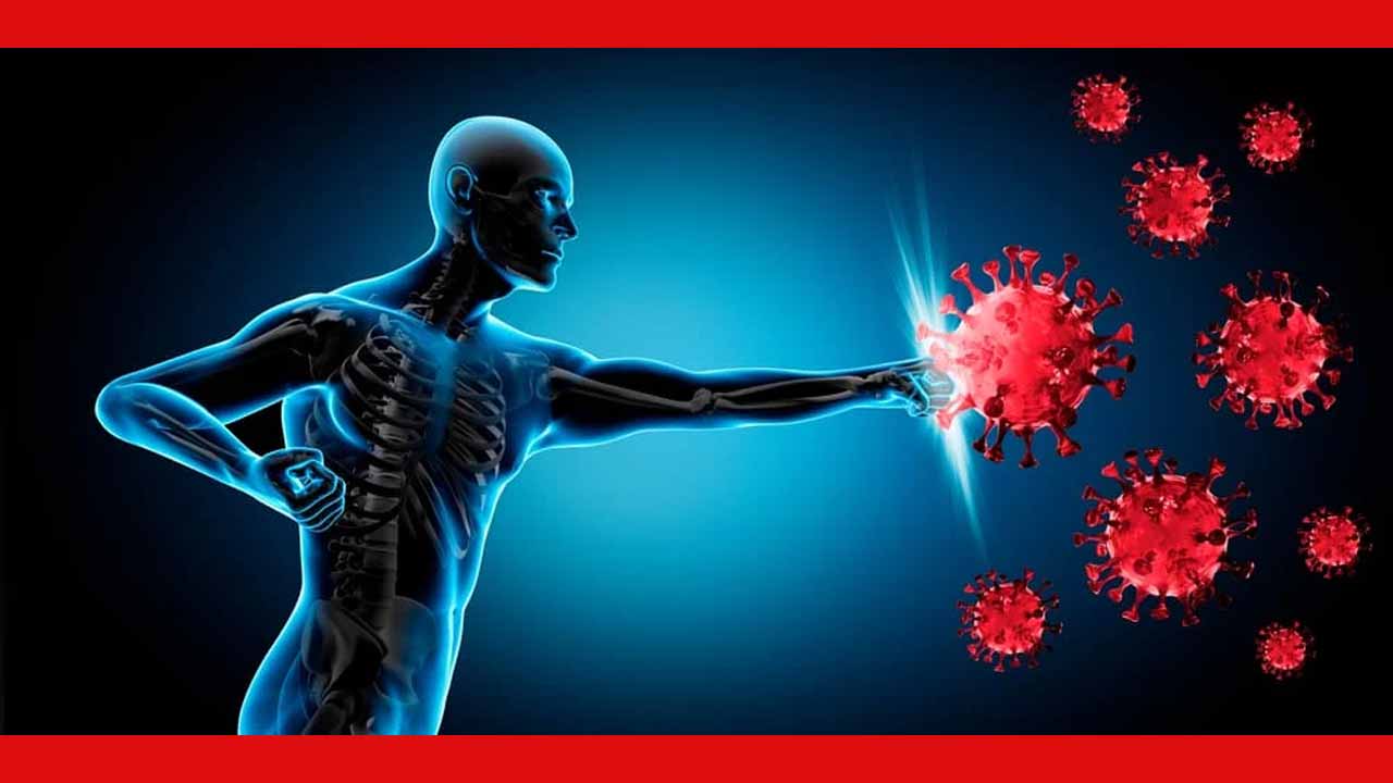 Immunity
