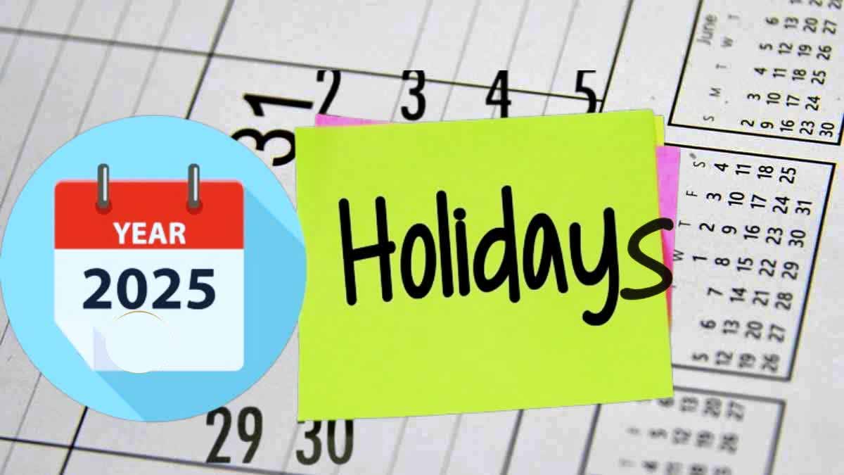 Ap Govt Public Holidays 202