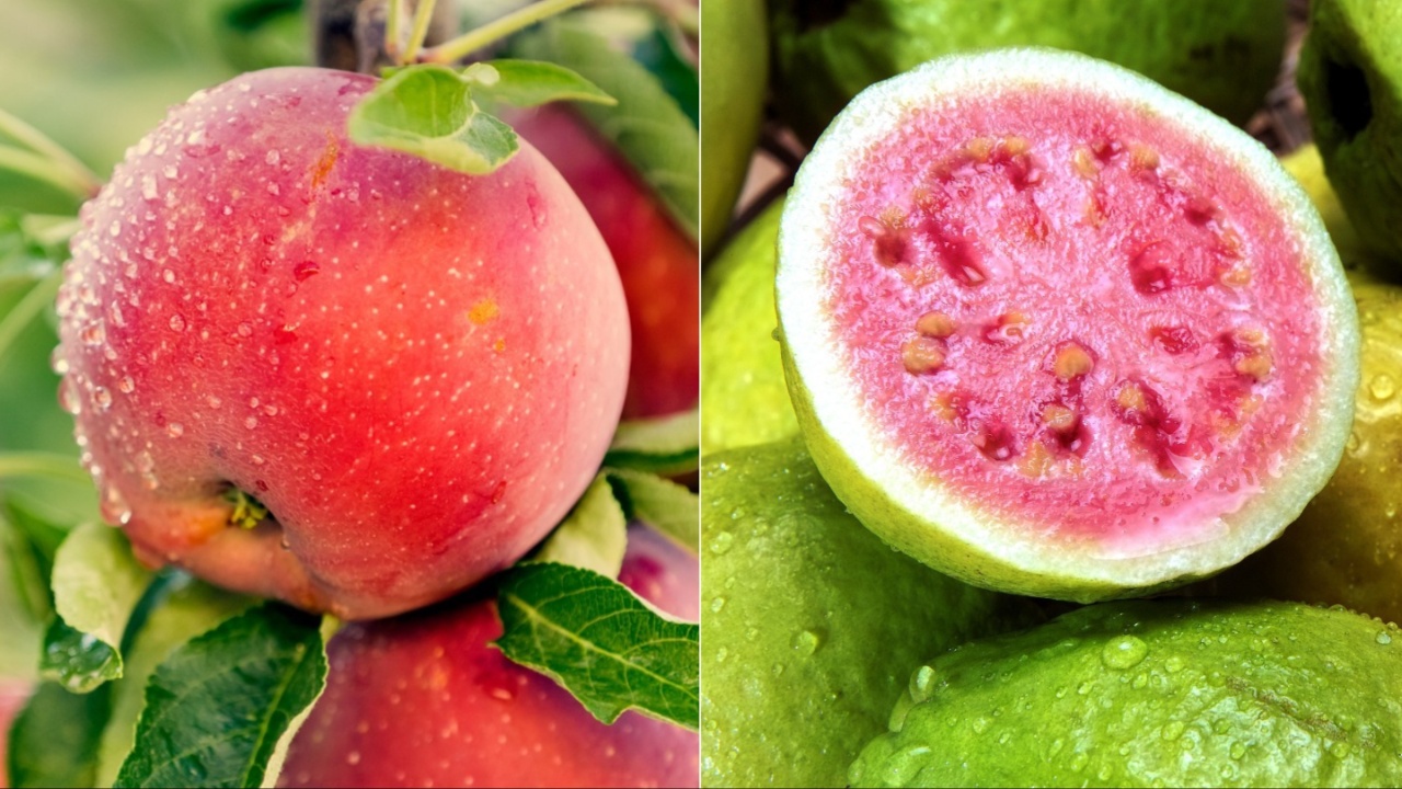 Apple Guava