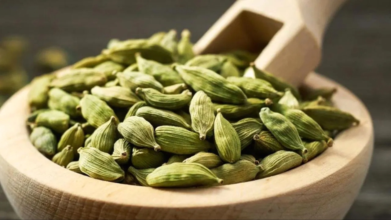 Cardamom