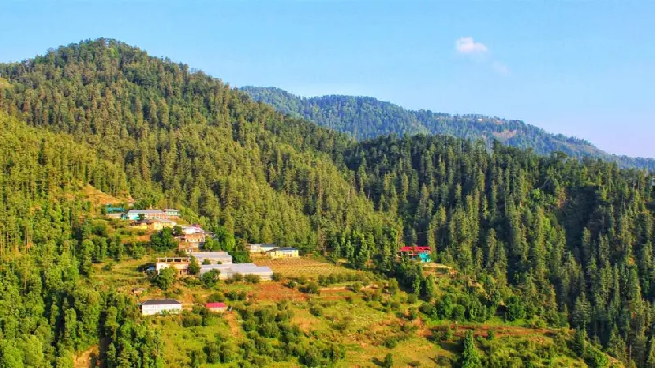 Mashobra