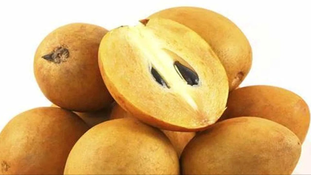 Sapota
