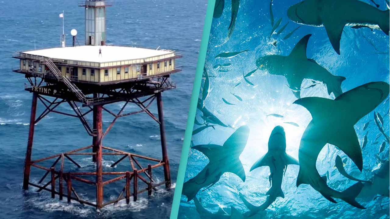 World's Most Dangerous Hote