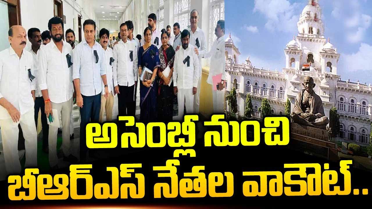 Brs Mlas Walkout
