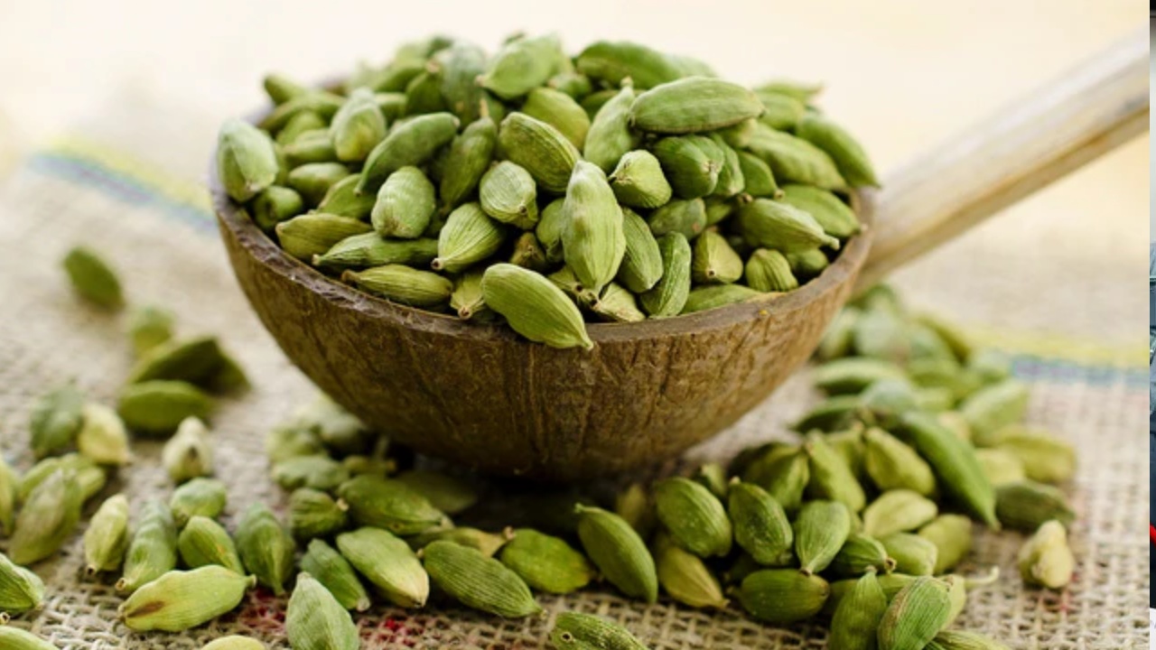 Cardamom