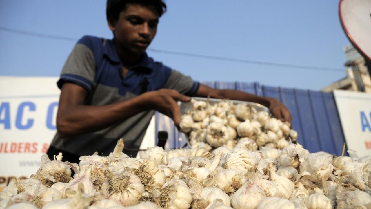 Garlic Price Hike