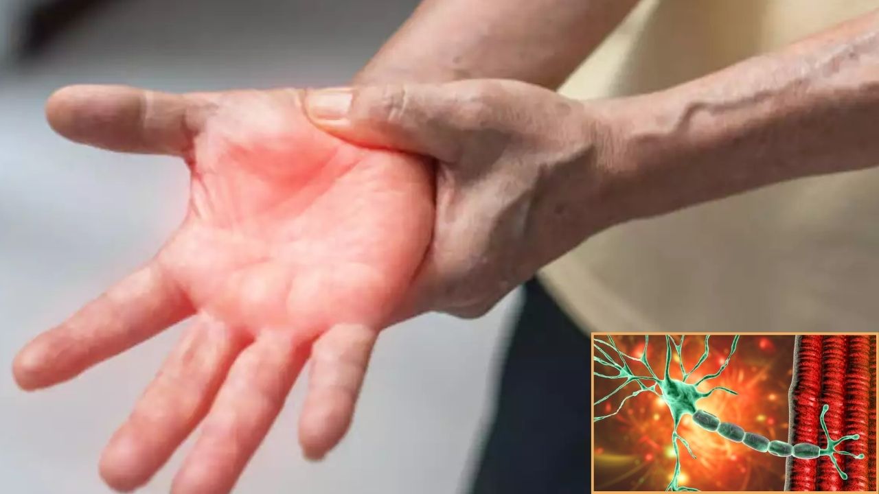 Guillain Barre Syndrome Neurological Disorder Symptoms Maharashtra Pune